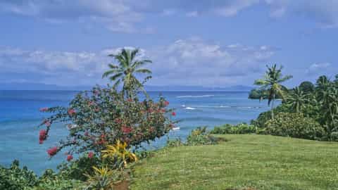 Taveuni Cruise Port