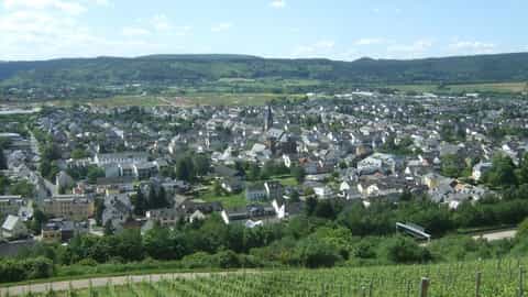 Schweich Cruise Port Guide: Moselle Wine & Expert Excursions