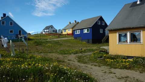 Narsaq Cruise Port
