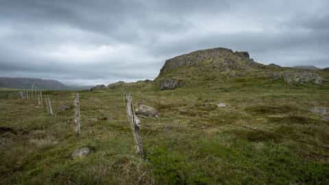 Bakkargerdi