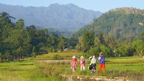 Bitung Cruise Port: Expert Guide to North Sulawesi Excursions