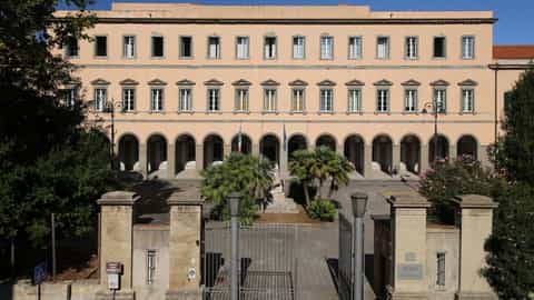 Livorno Cruise Port: Shore Excursions & Expert Guide