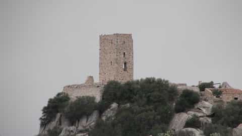 Olbia Cruise Port Guide: Shore Excursions & Expert Logistics
