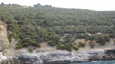 Palmarola Island Cruise Port