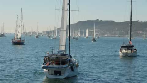 Ensenada Cruise Port: Shore Excursions & Expert Guide