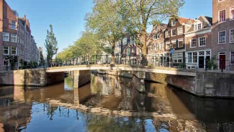 Amsterdam Cruise Port Guide: Shore Excursions & Expert Tips