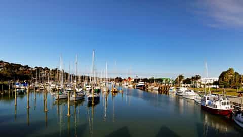 Whangarei Cruise Port