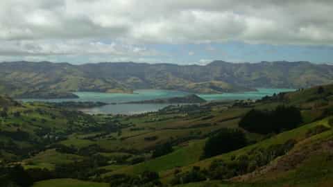 Akaroa Cruise Port: Shore Excursions & Expert Guide