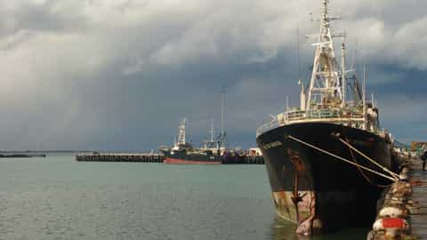 Timaru Cruise Port: Shore Excursions & Expert Guide