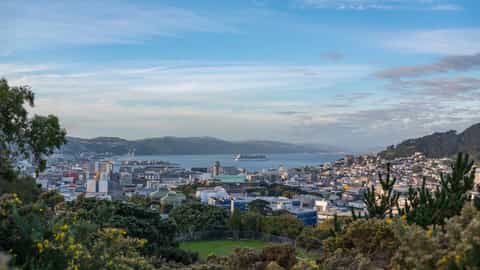 Wellington Cruise Port: Shore Excursions & Expert Guide