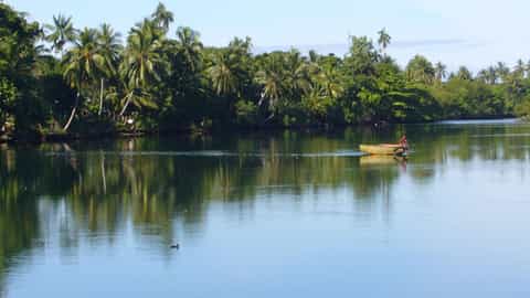 Madang Cruise Port: Shore Excursions & Expert Expert Guide