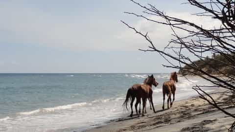 Vieques Cruise Port