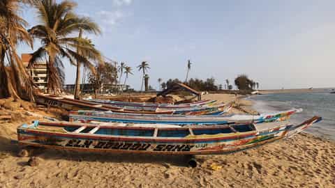Dakar Cruise Port Guide: Gorée Island & Shore Excursions
