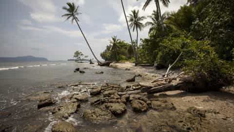 Solomon Islands Cruise Port