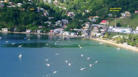 Charlotteville Cruise Port: Shore Excursions & Expert Guide