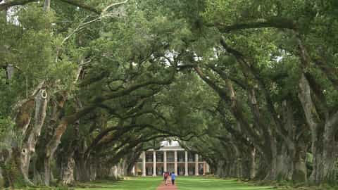 Oak Alley Plantation Cruise Port