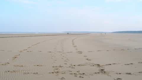 Norfolk Cruise Port: Shore Excursions & Expert Guide