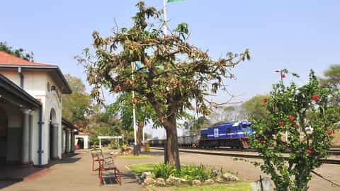 Victoria Falls Cruise Port: Expert Shore Excursion Guide