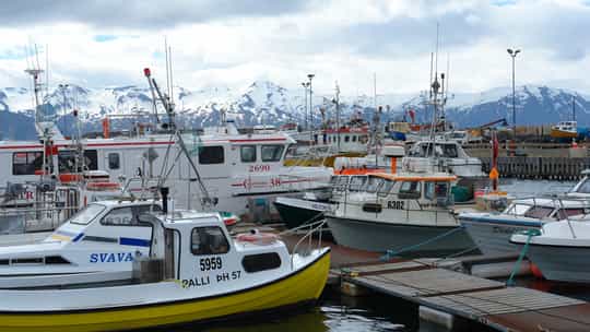 Silversea Cruises - 12 Days One-Way from Reykjavik to Longyearbyen