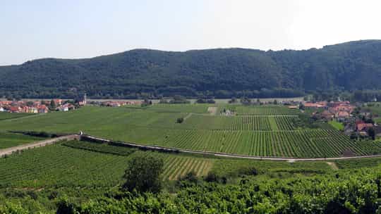 Celebrity River Cruises - 8 Days One-Way from Vilshofen an Der Donau to Budapest