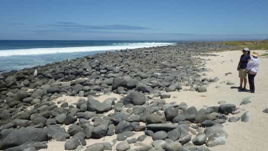 Lindblad Expeditions - 8 Days Guayaquil, Ecuador Round Trip