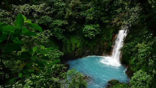 Ponant Cruises - 8 Days Puntarenas, Costa Rica Round Trip