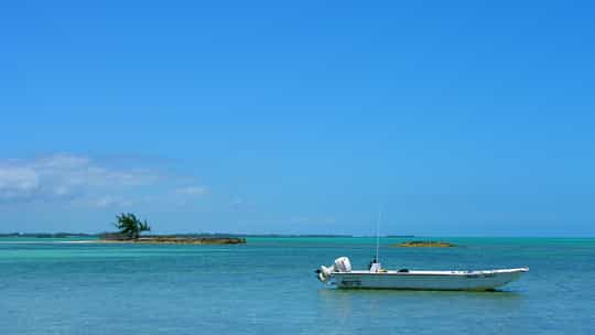 Scenic Cruises - 11 Days One-Way from New York to Nassau