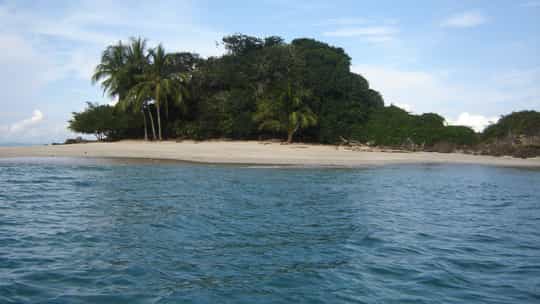 Lindblad Expeditions - 8 Days One-Way from Colon to Puntarenas