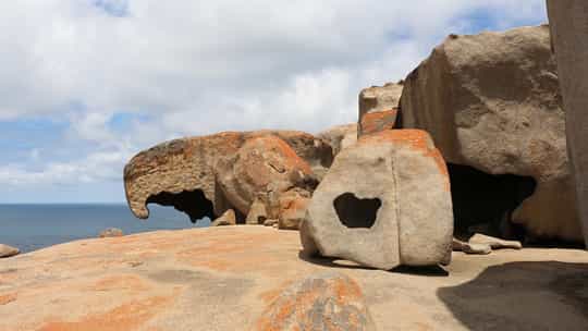 Norwegian Cruise Line - 12 Days Sydney, Australia Round Trip