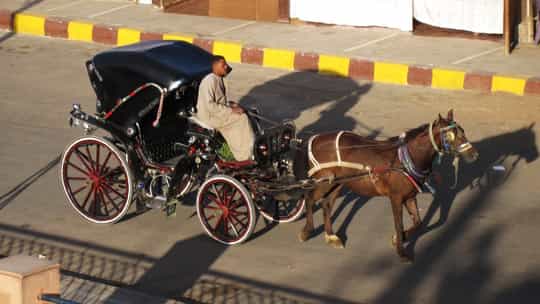 AmaWaterways - 12 Days Cairo, Egypt Round Trip