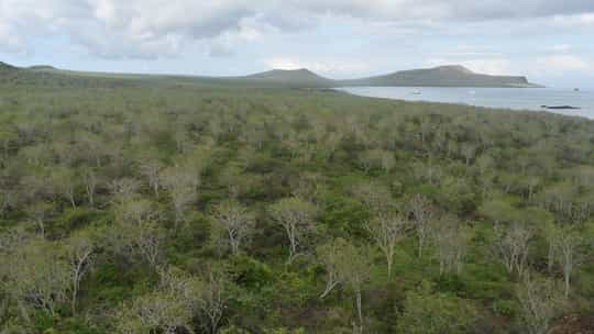 Lindblad Expeditions - 8 Days San Cristobal Island, Ecuador Round Trip
