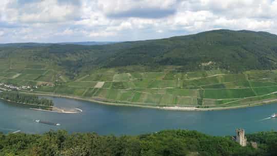 Avalon Waterways - 9 Days One-Way from Basel to Nuremberg