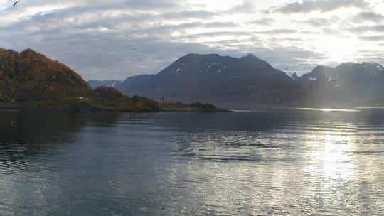 Hurtigruten - 6 Days One-Way from Kirkenes to Bergen
