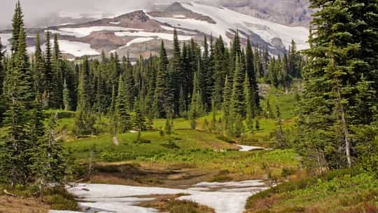 Lindblad Expeditions - 13 Days One-Way from Seattle to Juneau