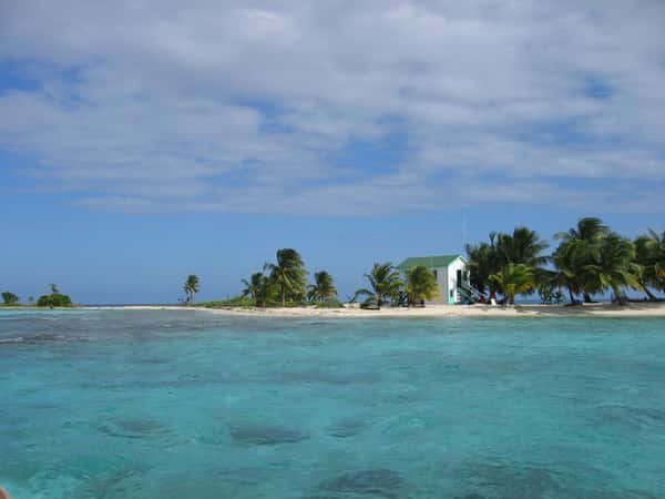 tropical island beach palm trees ocean