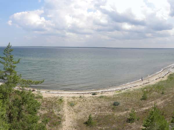 coastline sea trees harbor