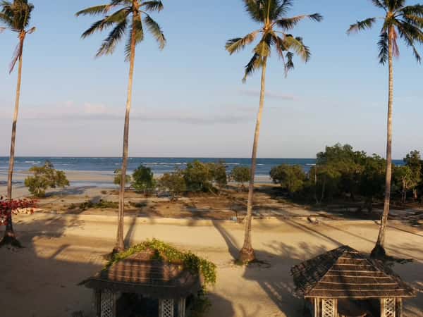 beach palm trees huts ocean