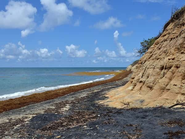 Vieques Cruise Port