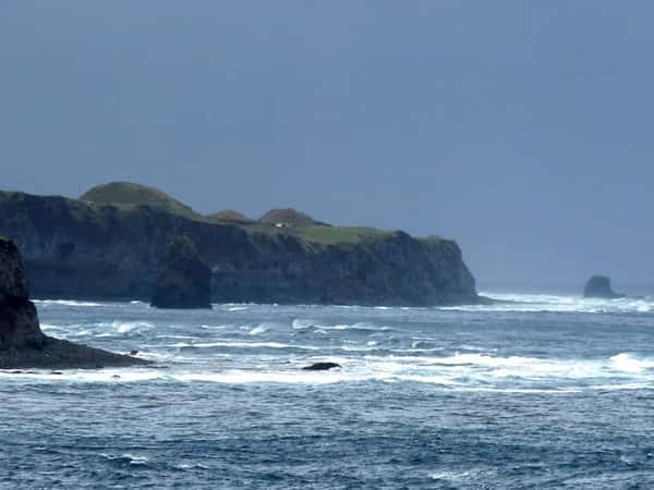 Tristan da Cunha Cruise Port: Shore Excursions & Expert Guide