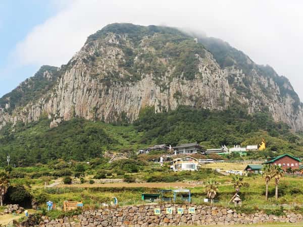 Seogwipo Cruise Port Guide: Shore Excursions & Jeju Expert Tips