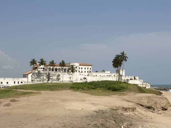 historic coastal fort palm trees