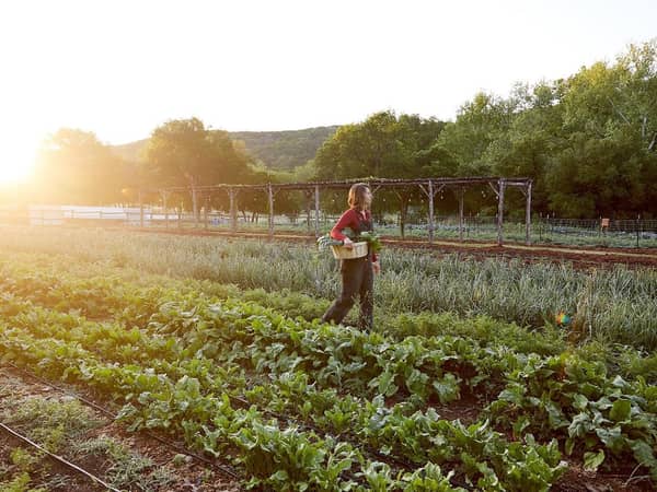 Miraval Austin, United States — Miraval Austin