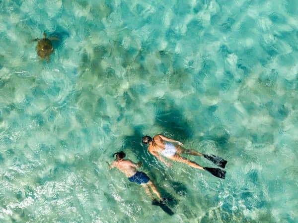 Lizard Island, Australia — Lizard Island - Swimming with Turtles