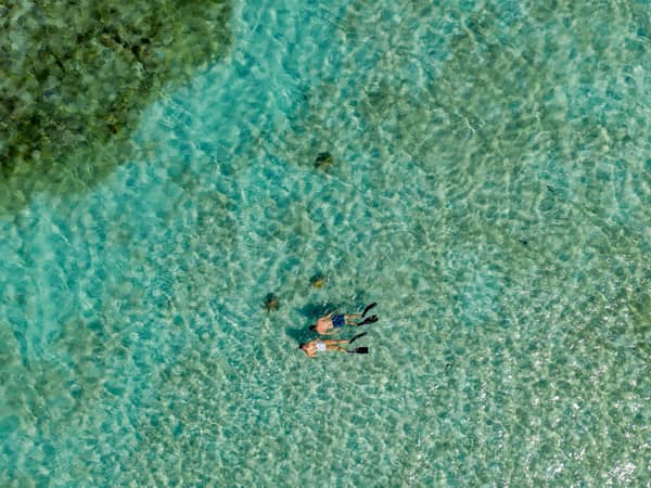 Lizard Island, Australia — Lizard Island - Snorkelling
