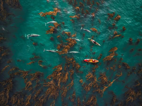 Terranea Resort, United States — Terranea Resort - Kayaking out of our Beach Cove