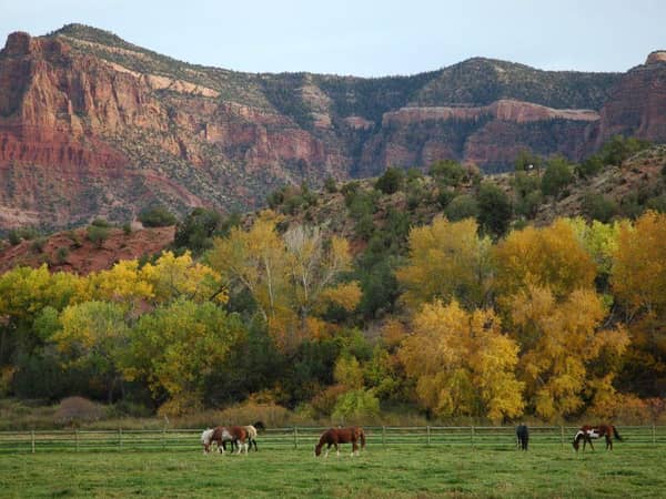 Gateway Canyons Resort & Spa, United States — Gateway Canyons Resort & Spa
