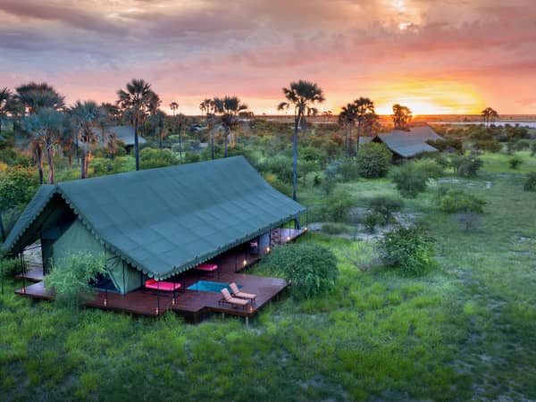 Natural Selection – Jack’s Camp, Botswana — Natural Selection – Jack’s Camp