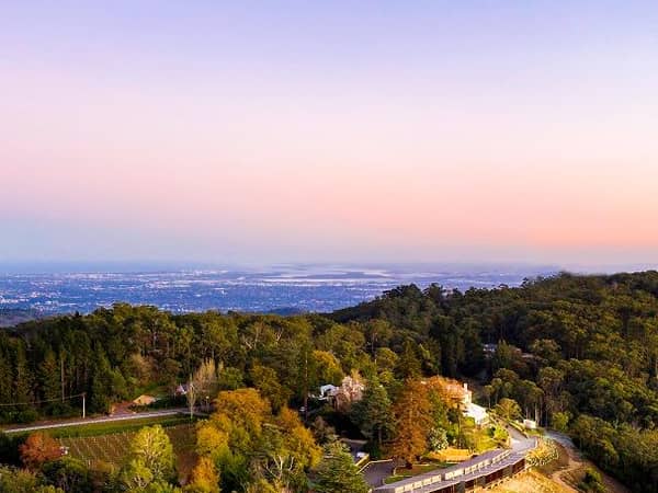 Sequoia, Australia — Sequoia