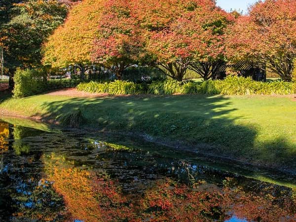 The Marlborough - Boutique Hotel & Vineyard, New Zealand — The Marlborough - Boutique Hotel & Vineyard