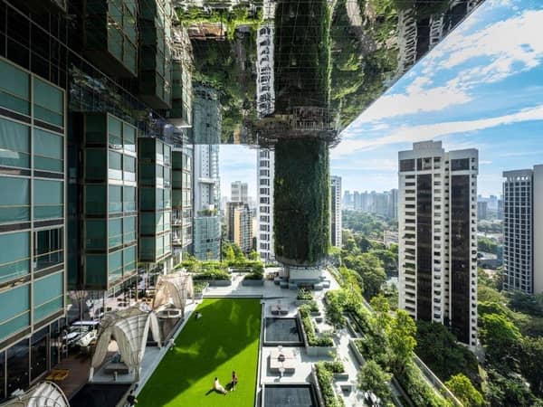 Pan Pacific Orchard, Singapore, Singapore — Pan Pacific Orchard, Singapore